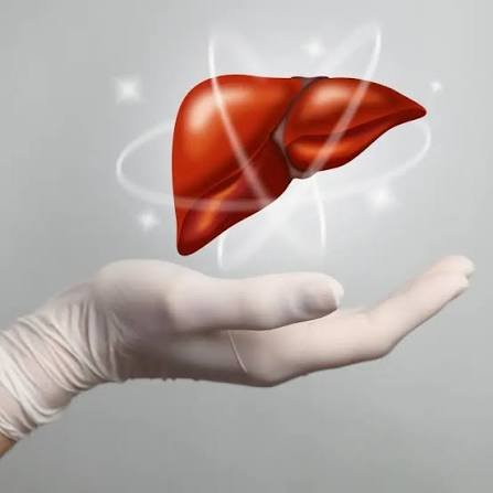 Liver Transplant