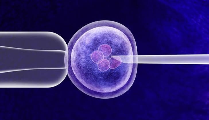 IVF 