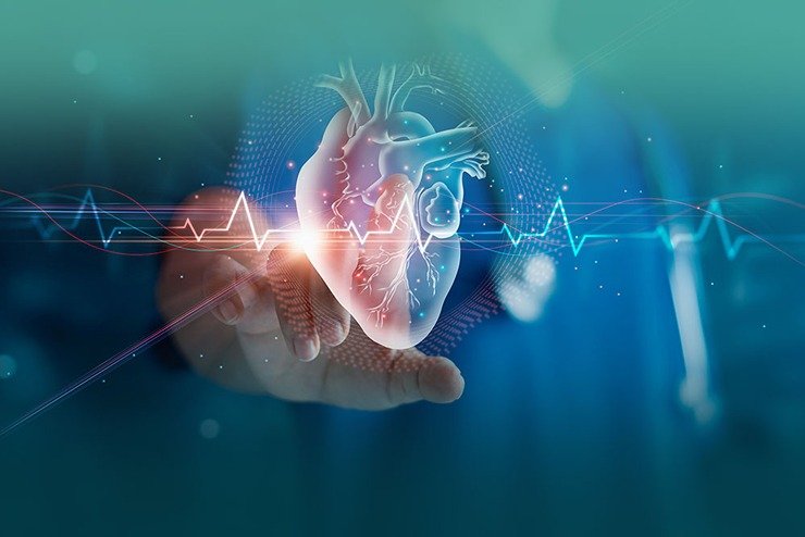 You are currently viewing Cardiology